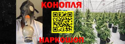 МДПВ Вышний Волочёк
