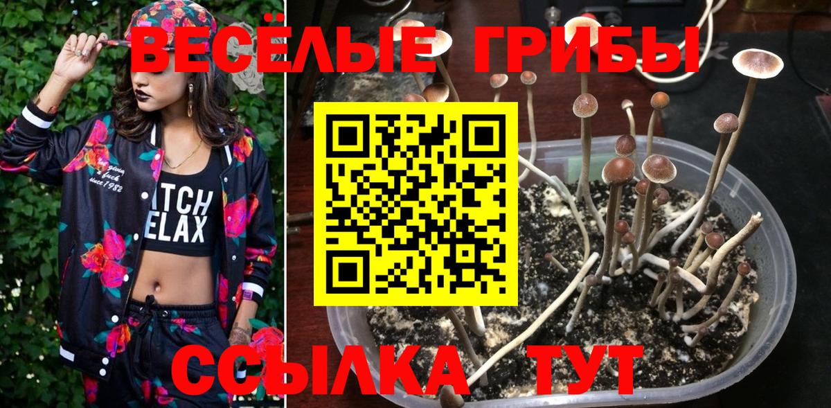 Метадон  Кокаин  Вход с VPN  НБОМе  Меф кристаллы  Боровичи  Метамфетамин  ГАШИШ 