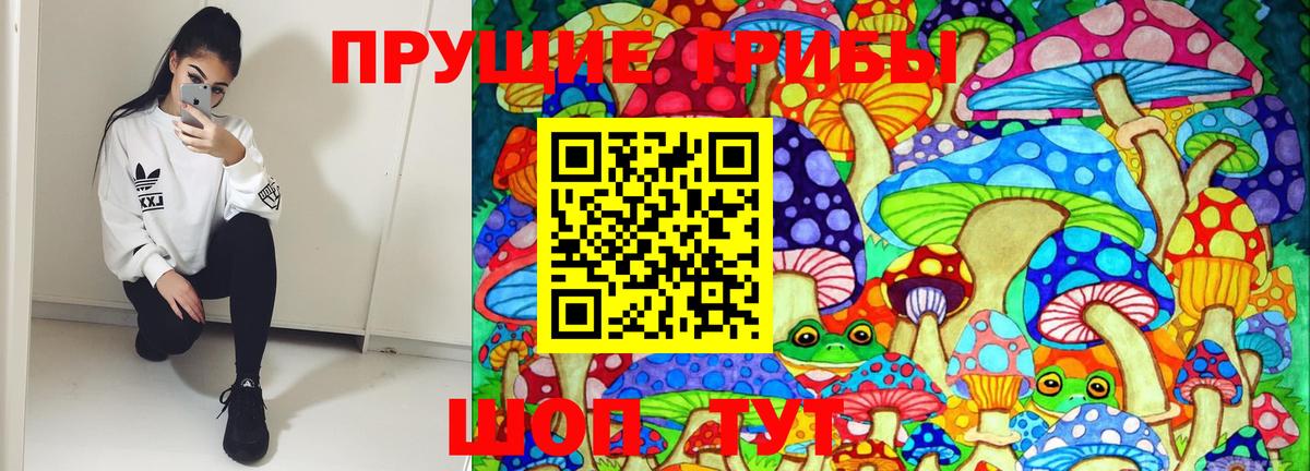 Псилоцибиновые грибы прущие грибы Боровичи